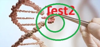 Popular Test4
