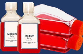 Smart Products1
